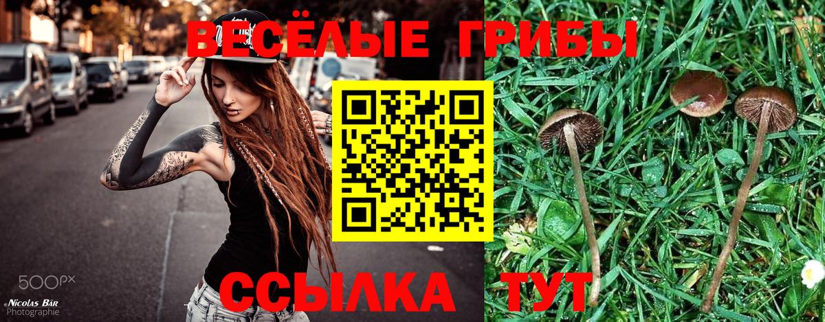Шадринск  Галлюциногенные грибы MAGIC MUSHROOMS  Вход с VPN  Псилоцибиновые грибы GOLDEN TEACHER 